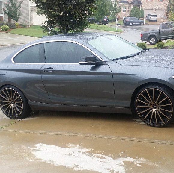 Meet your Posher, Xavier - Picture 1 of 1